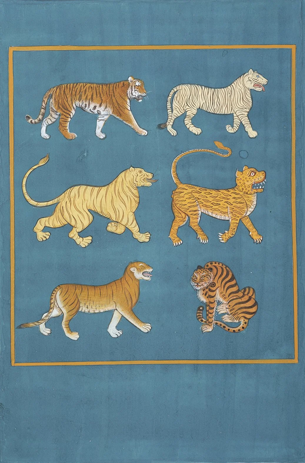 lowreswaysofseeingtigers.jpg