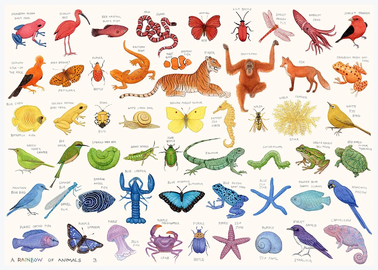 lowrestintrainbowanimals42x29.7.jpg