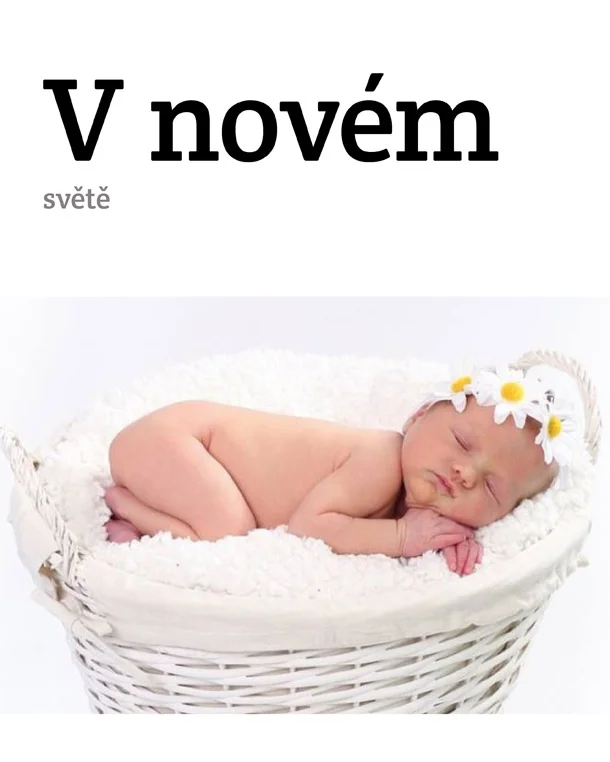358296_uprava.jpg