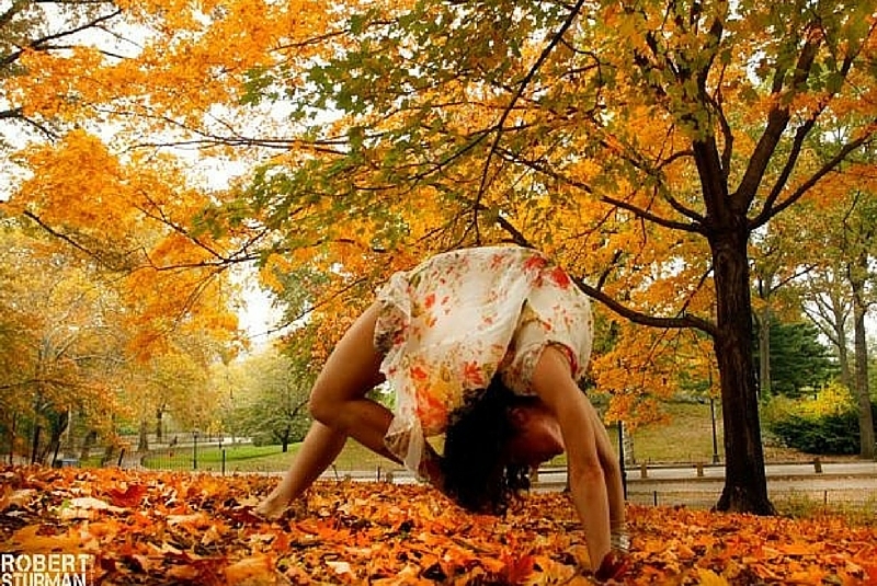 yoga-automne.jpg