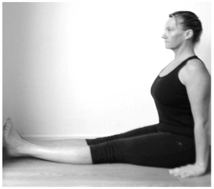Dandasana_yoga_posture.jpg