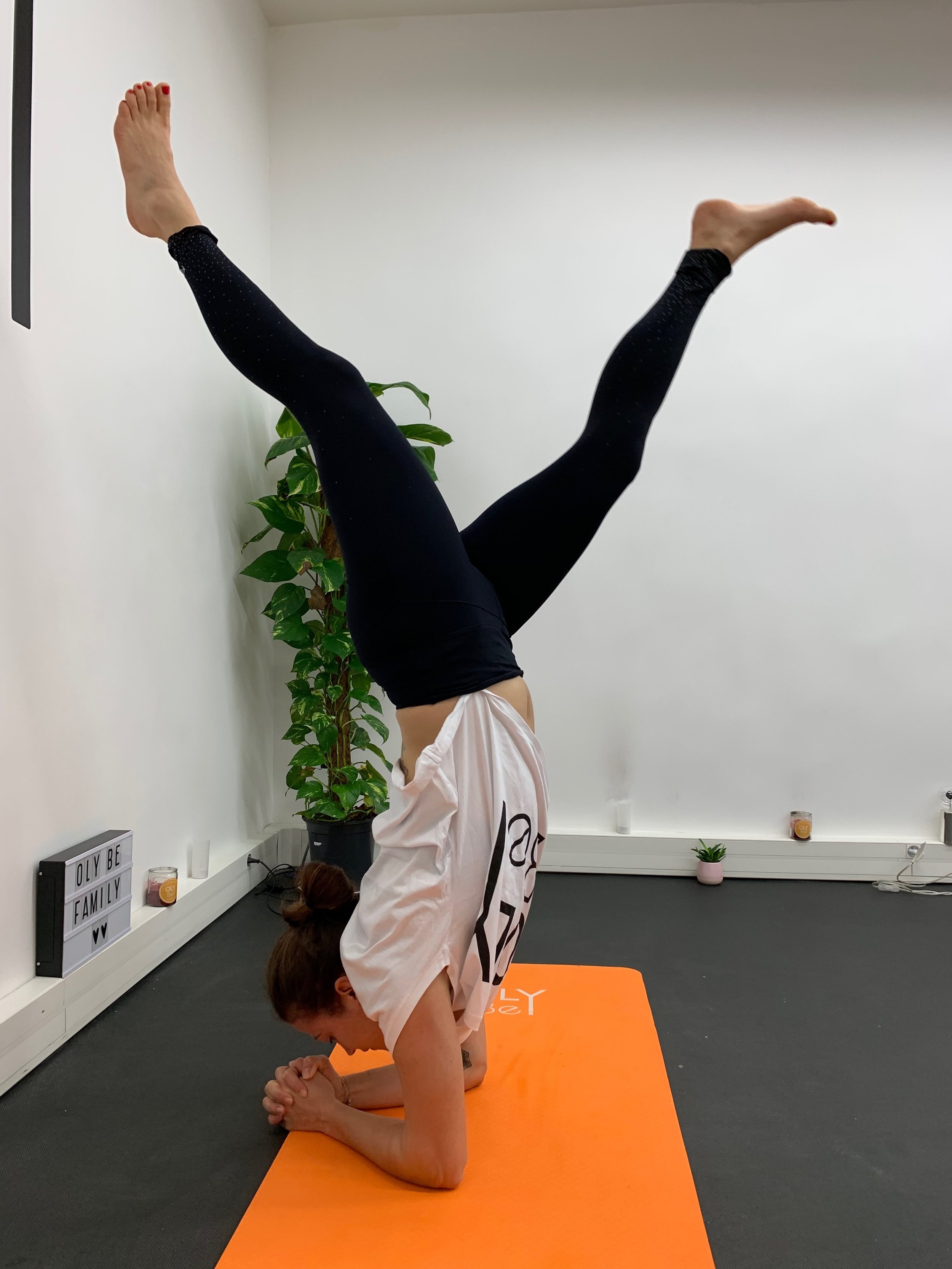 L’équilibre sur les avant-bras ( Pincha Mayurasana , ou juste “Pincha” pour les intimes)