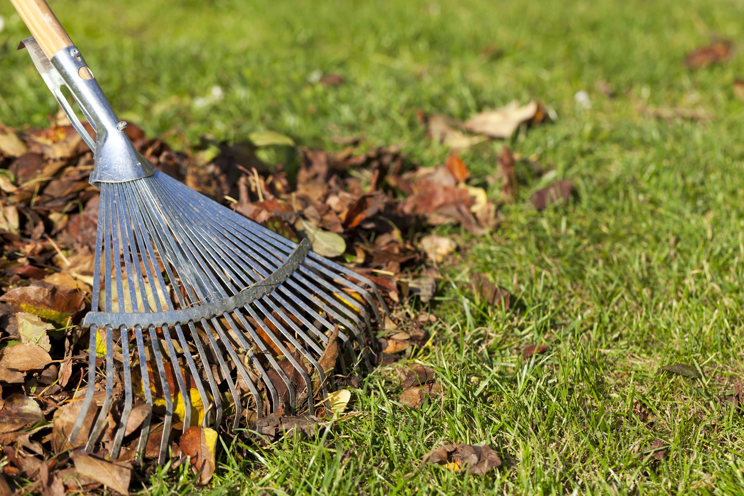 3-iStock-170215857.jpg
