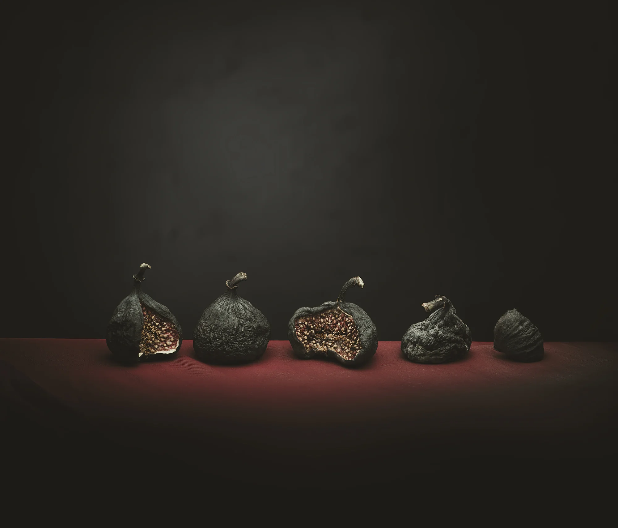 old figs in line-035_2000px.jpg