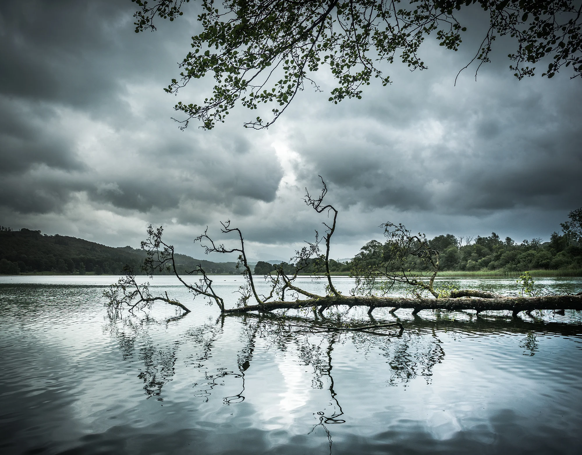 Lake District June 2017-1714web2000.jpg