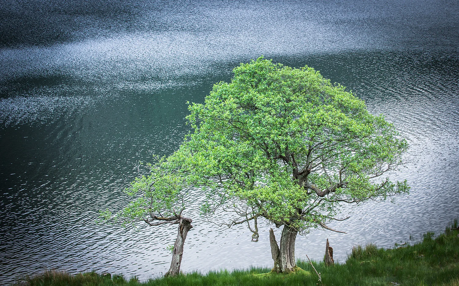 Lake+District+June+2017-1447web2000_edit.jpg
