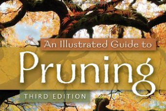 Pruning Guide: BOOK that blew my mind!