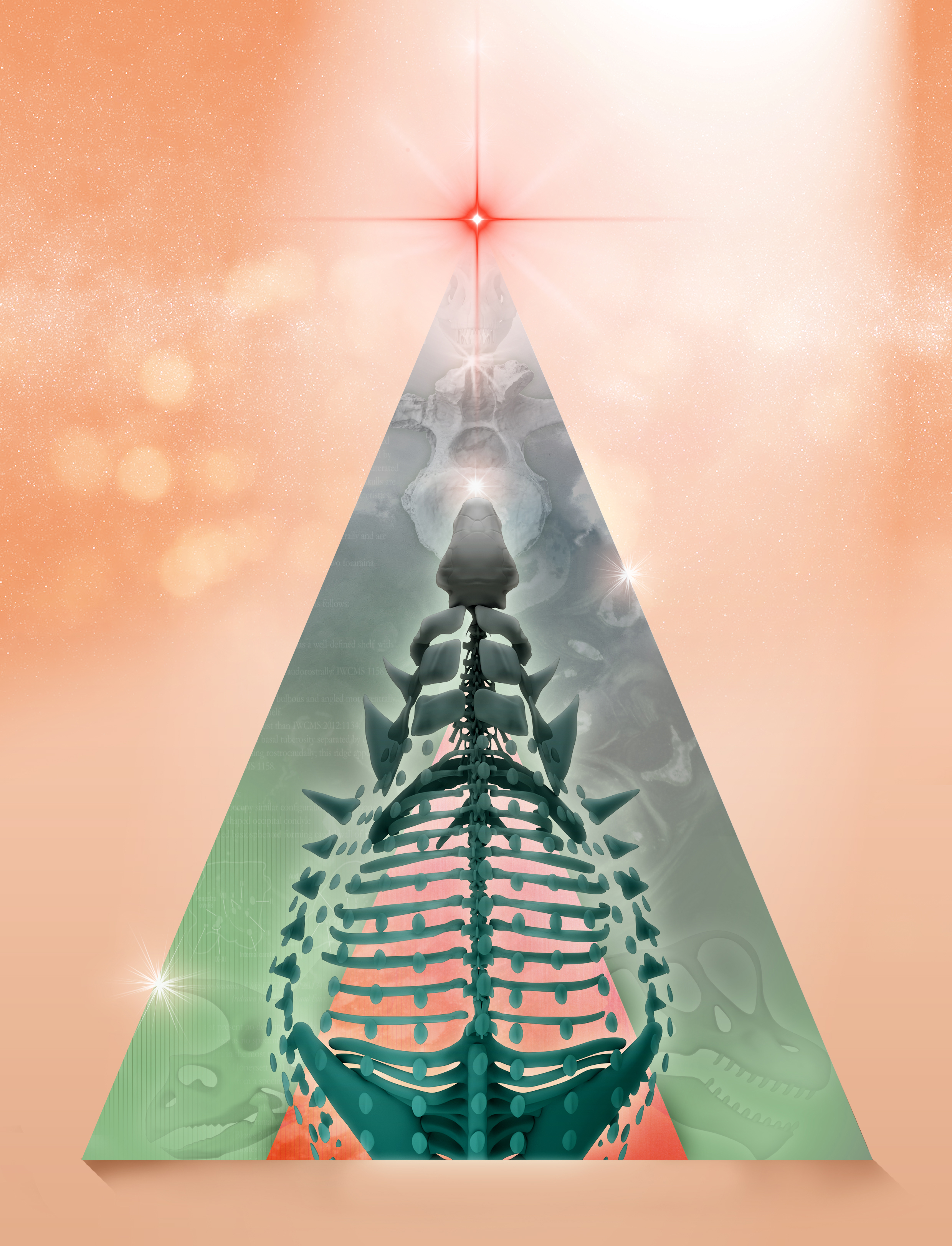 xmas_edmontonia_render.jpg