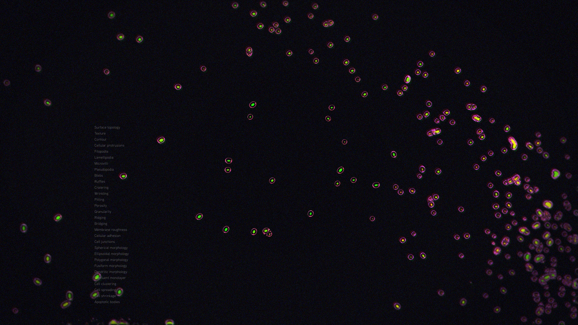 0325_drifting_cells.png