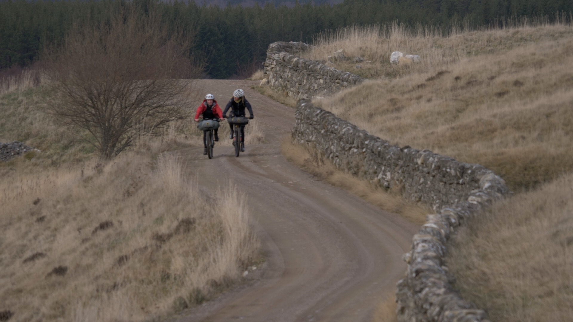 Jenny and Lee bike and curvy wall.JPG