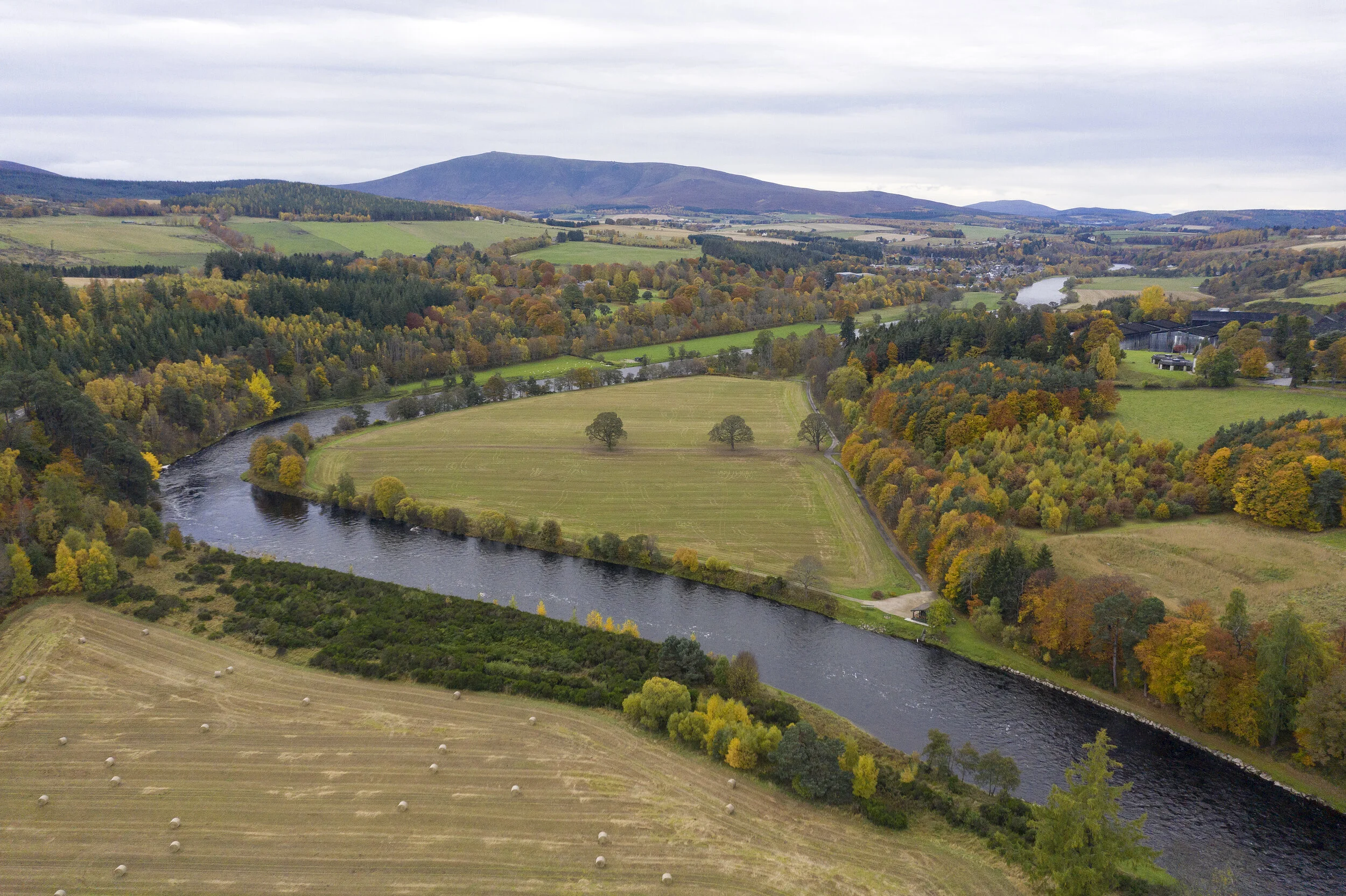 Maccallam Distillary.JPG