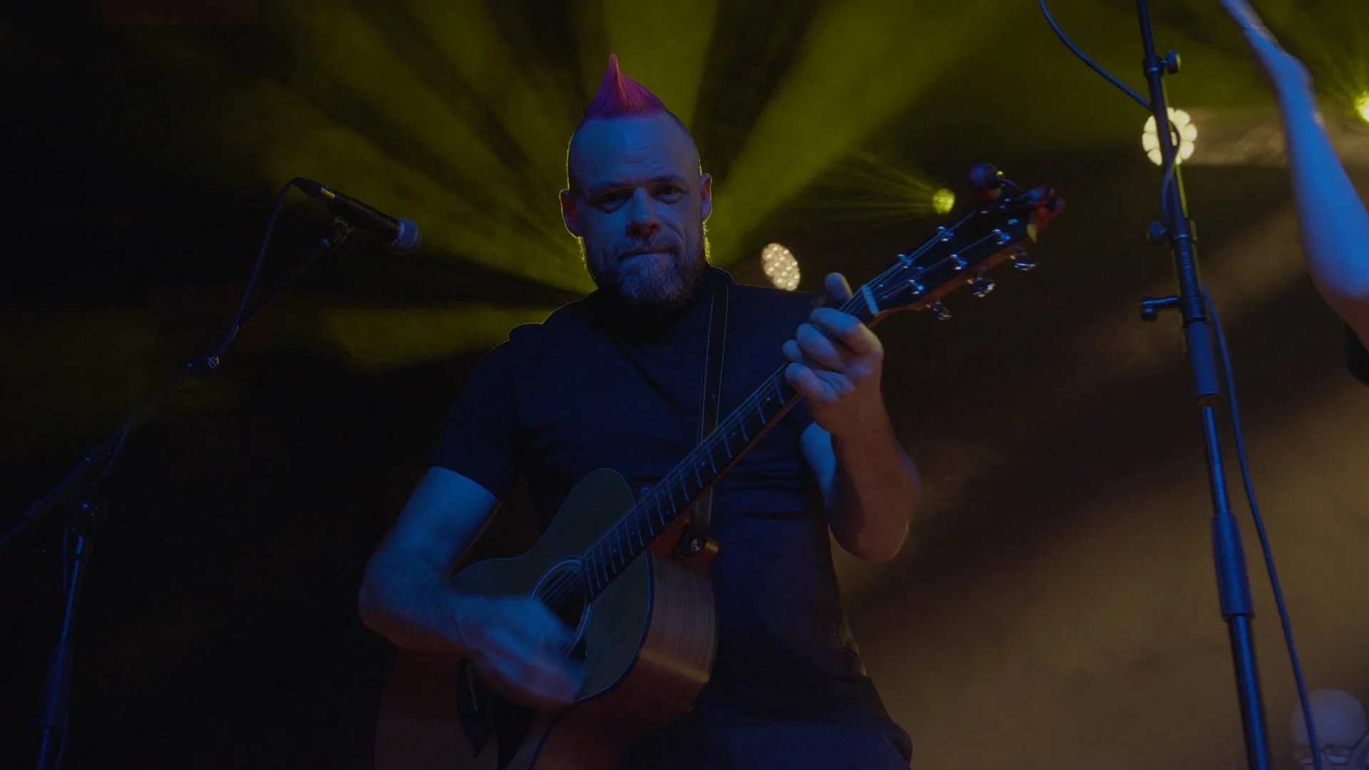 Gregor guitar 01.jpg
