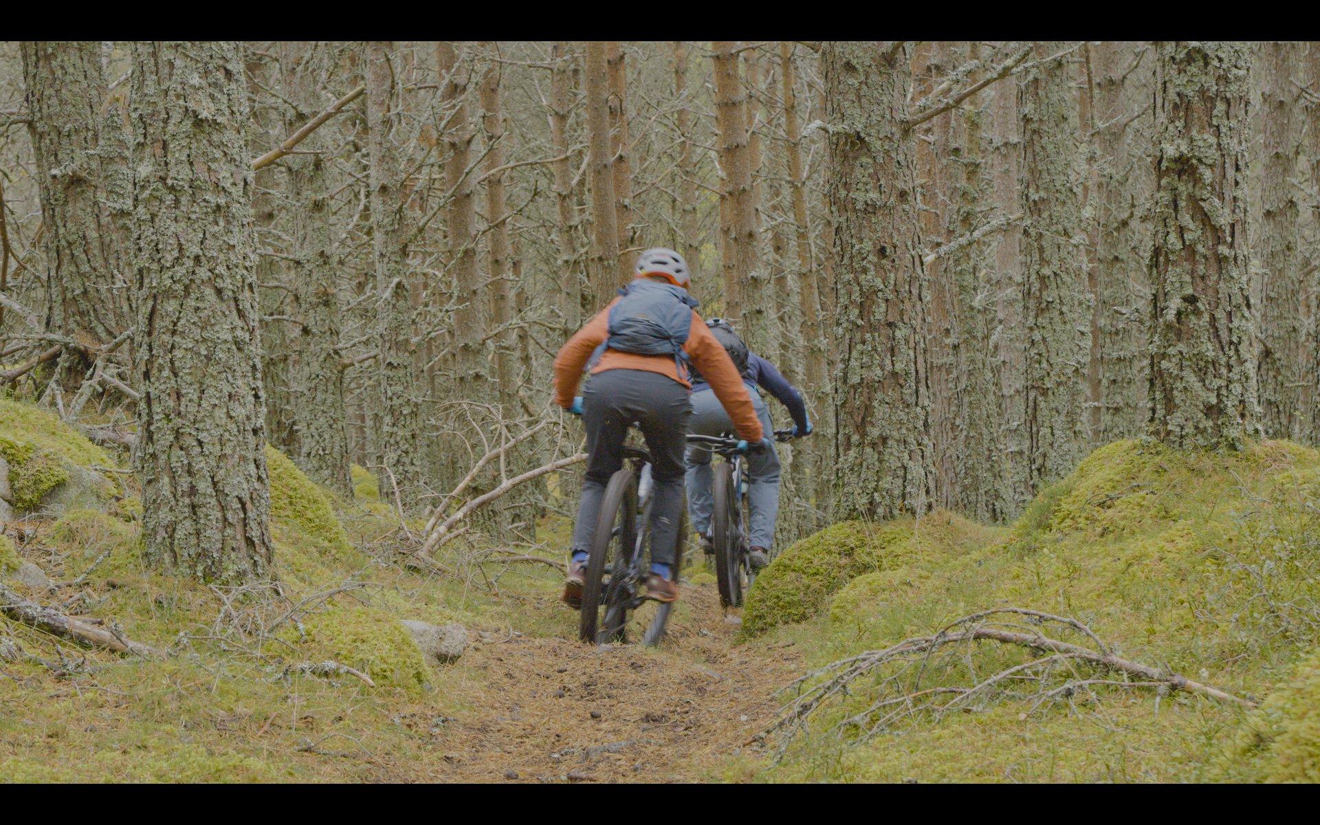 Mountain biking -1.jpg