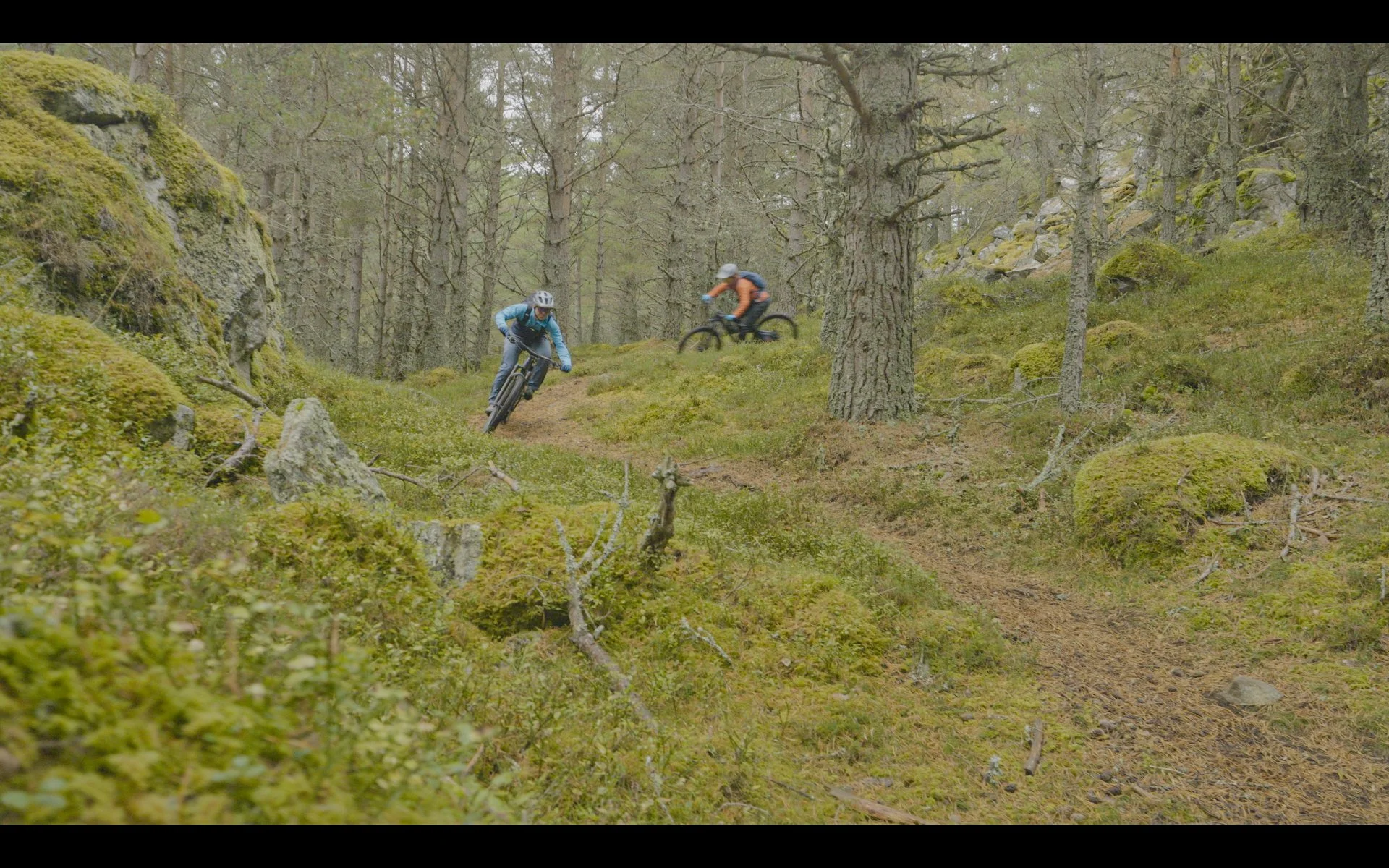 Mountain biking -3.jpg
