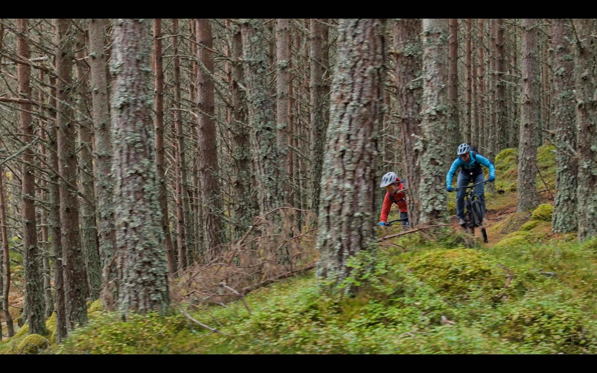 Mountain biking -7.jpg