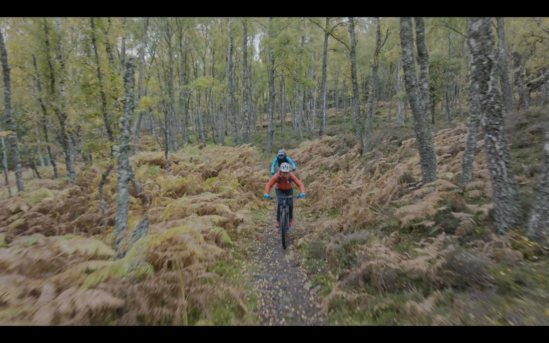 Mountain biking -9.jpg