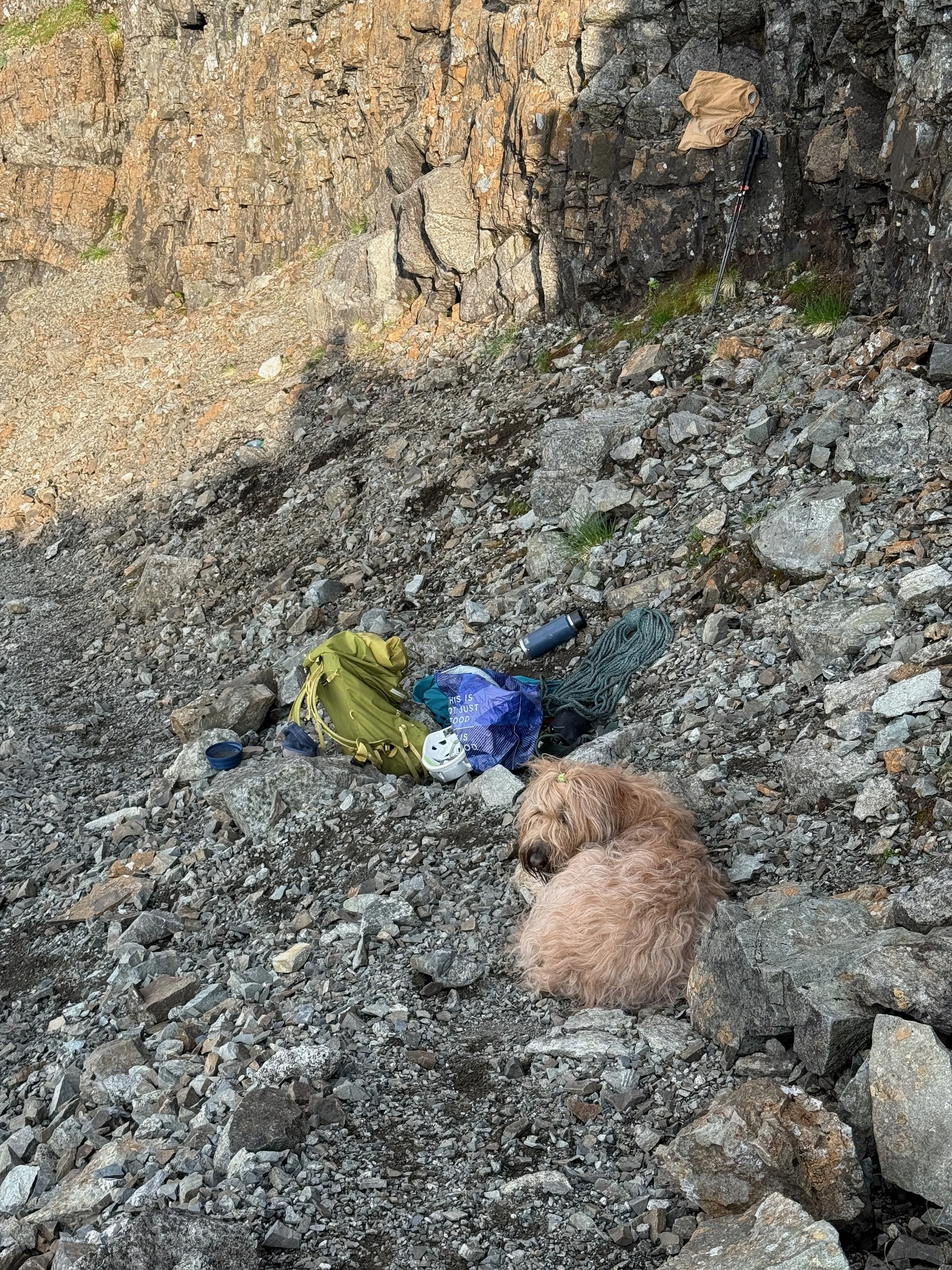 Am Bastier phone - 21.jpeg