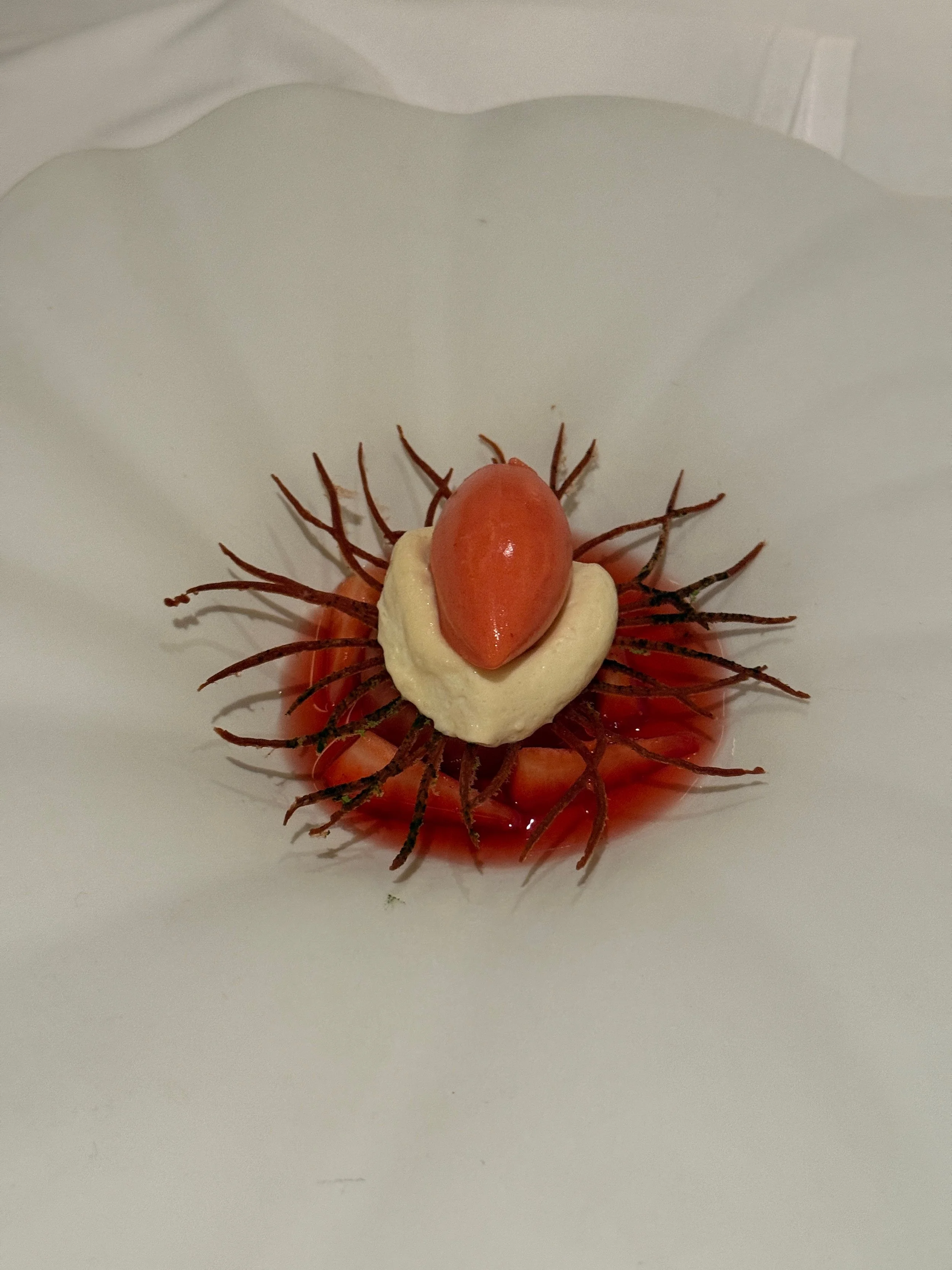 NBC Travel - 88.jpeg