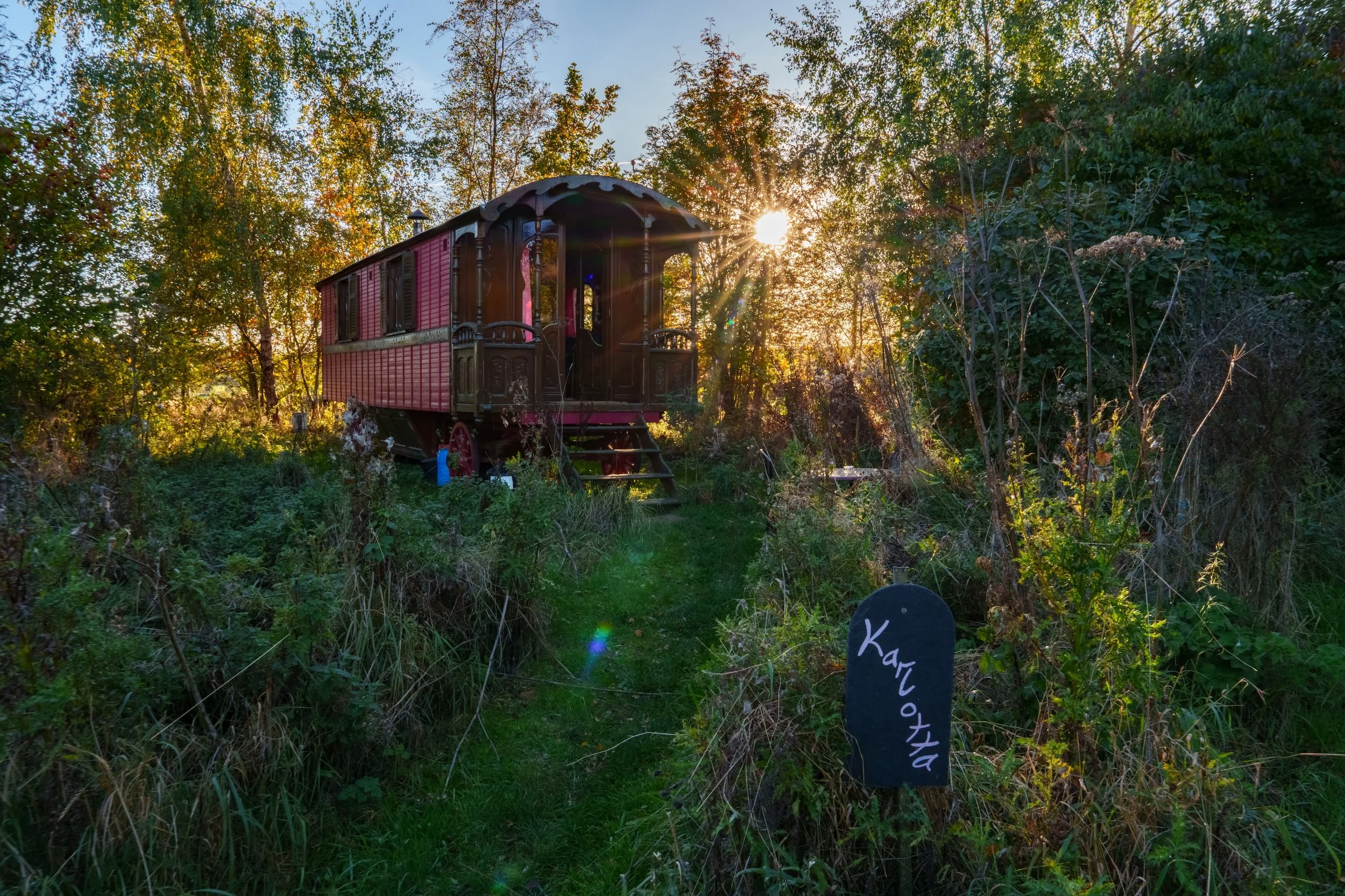 J&G Wild Swim-35.jpg