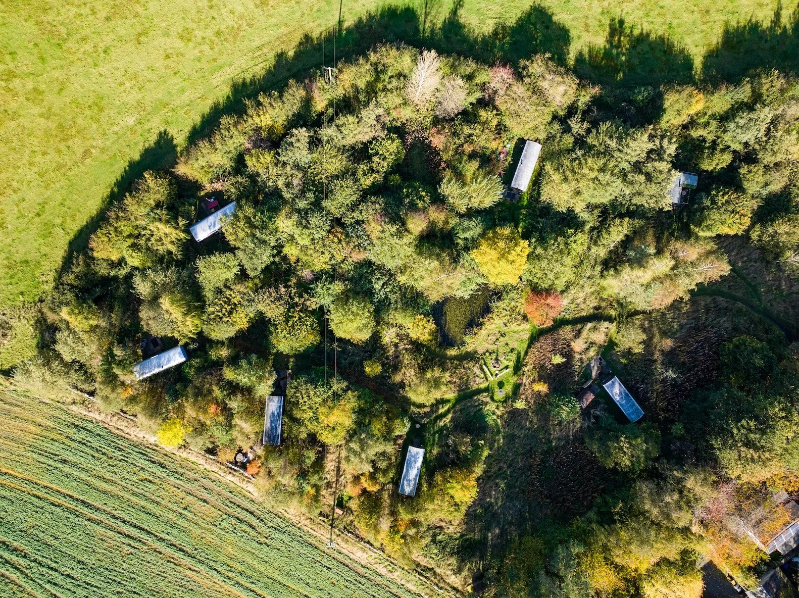 J&G Wild Swim 1-4.jpg