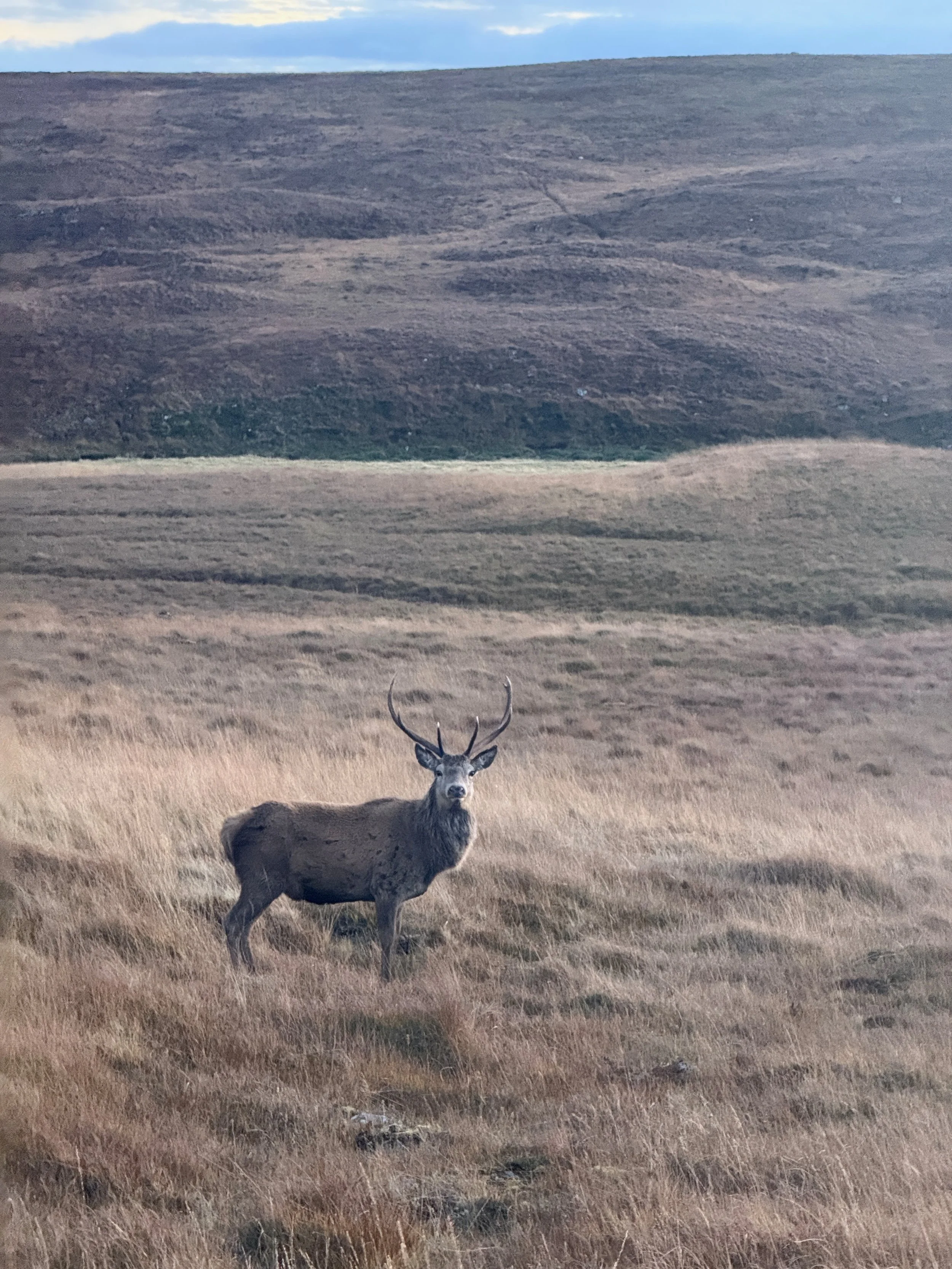 Sutherland film Jimmy - 3.jpeg