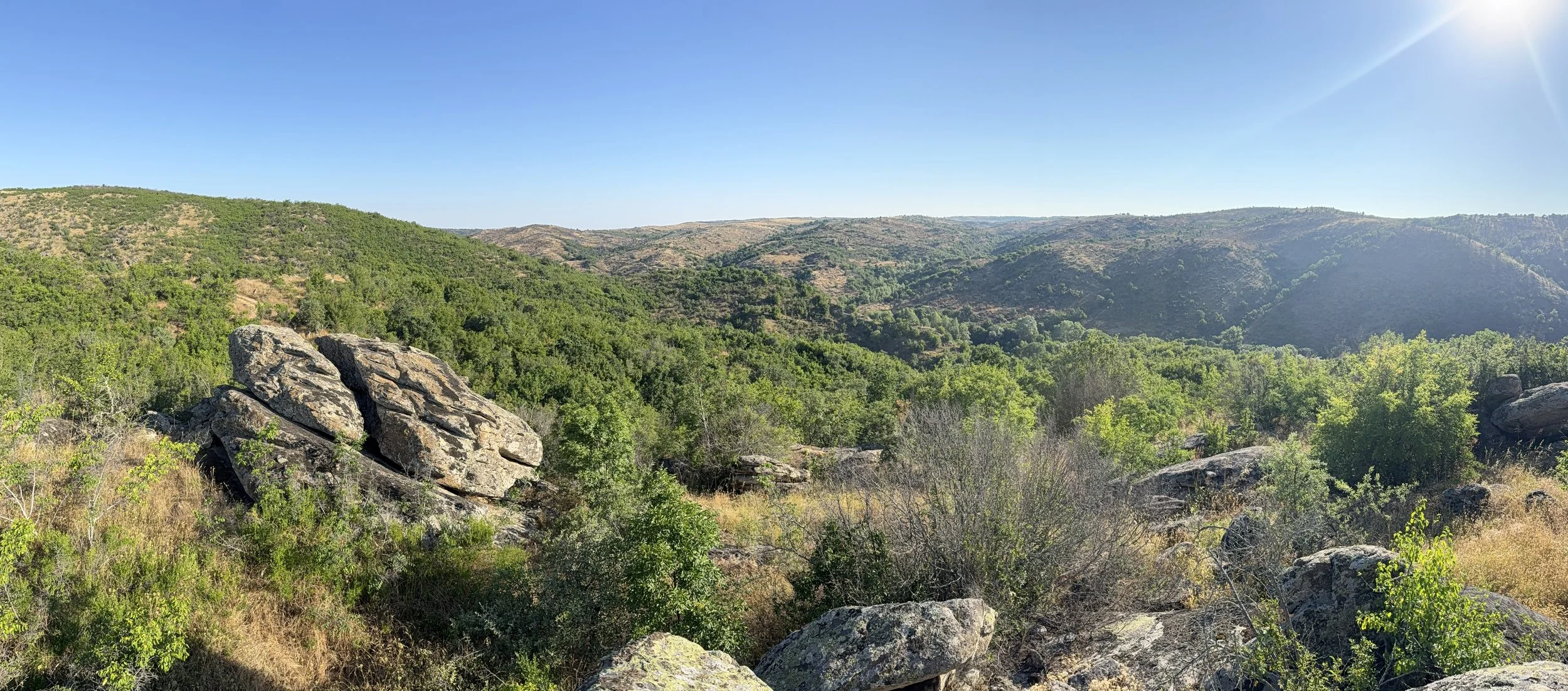 IMG_5309.JPG