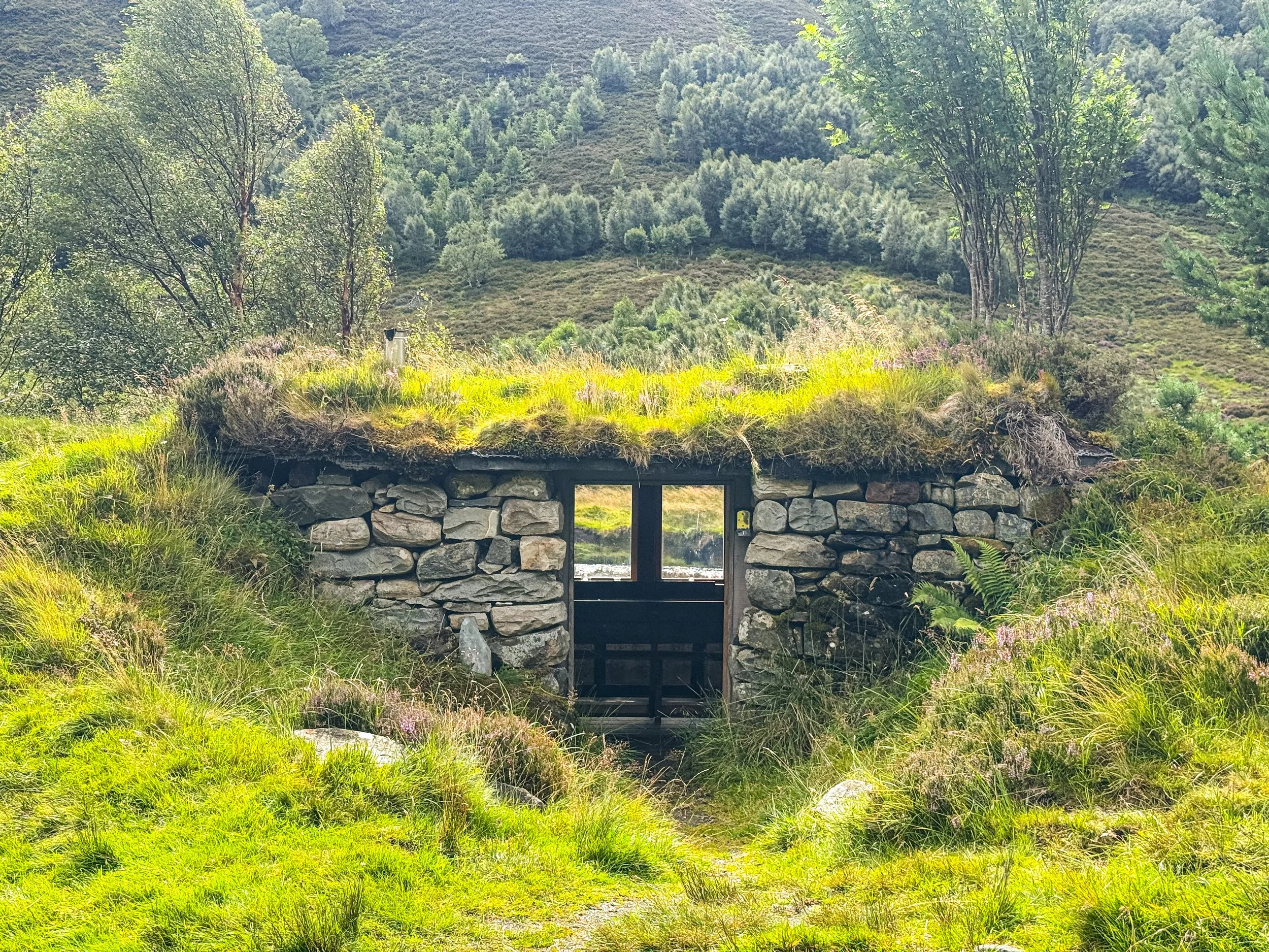 Alladale-4.jpg
