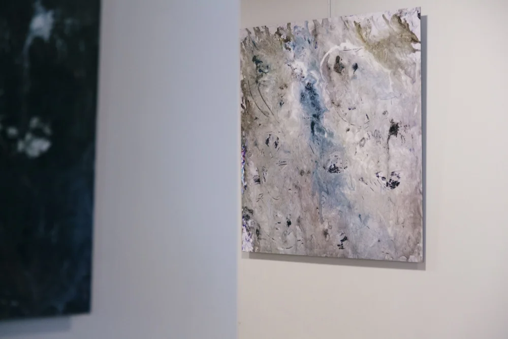 Exhibition Schiller Art Gallery