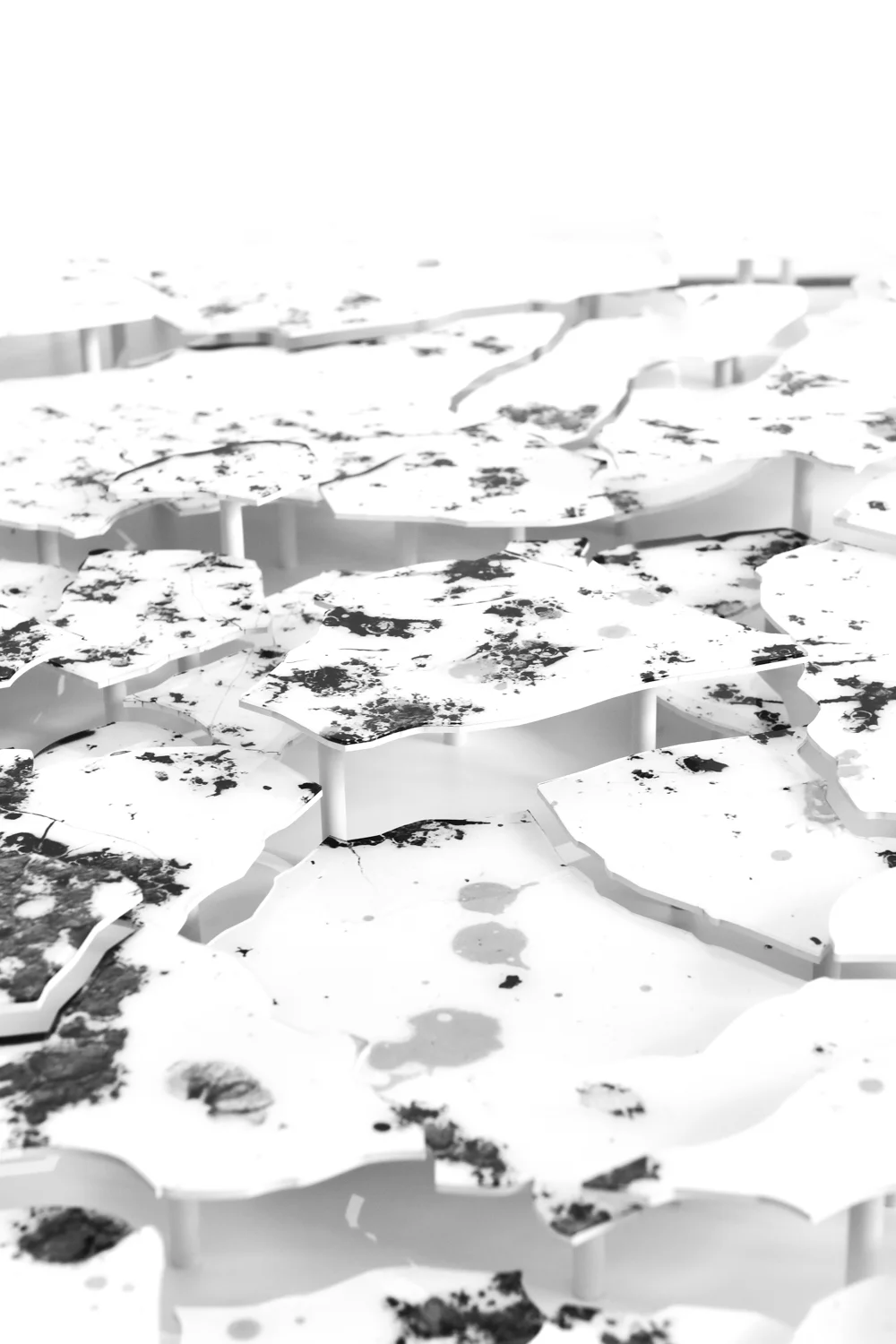 AR_MIRA-11.jpg