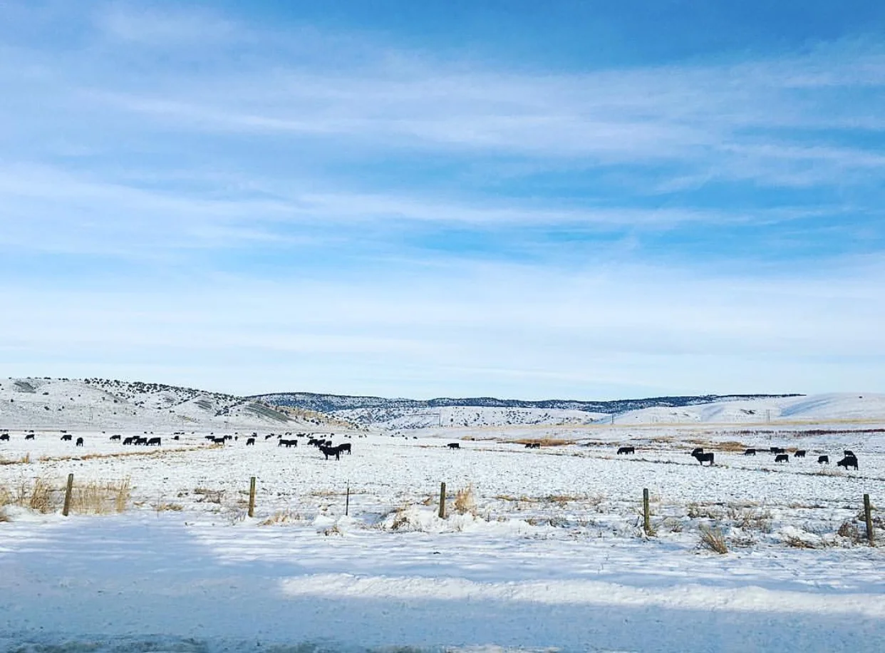 Grungy Slopes | TOGWOTEE MOUNTAIN LODGE - Moran, Wyoming
