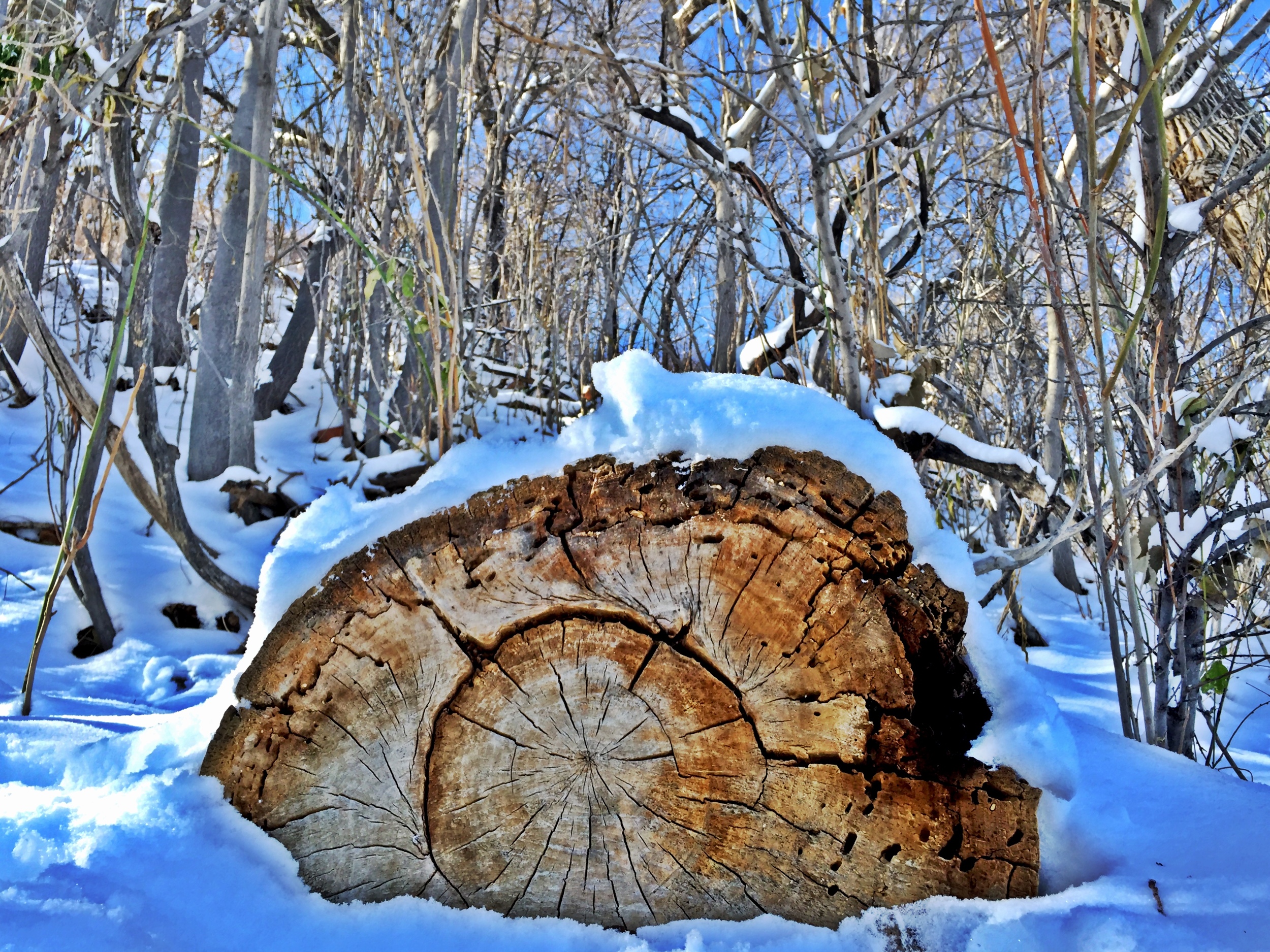 Grungy Slopes, Aspen Colorado, The Gant 13.jpg