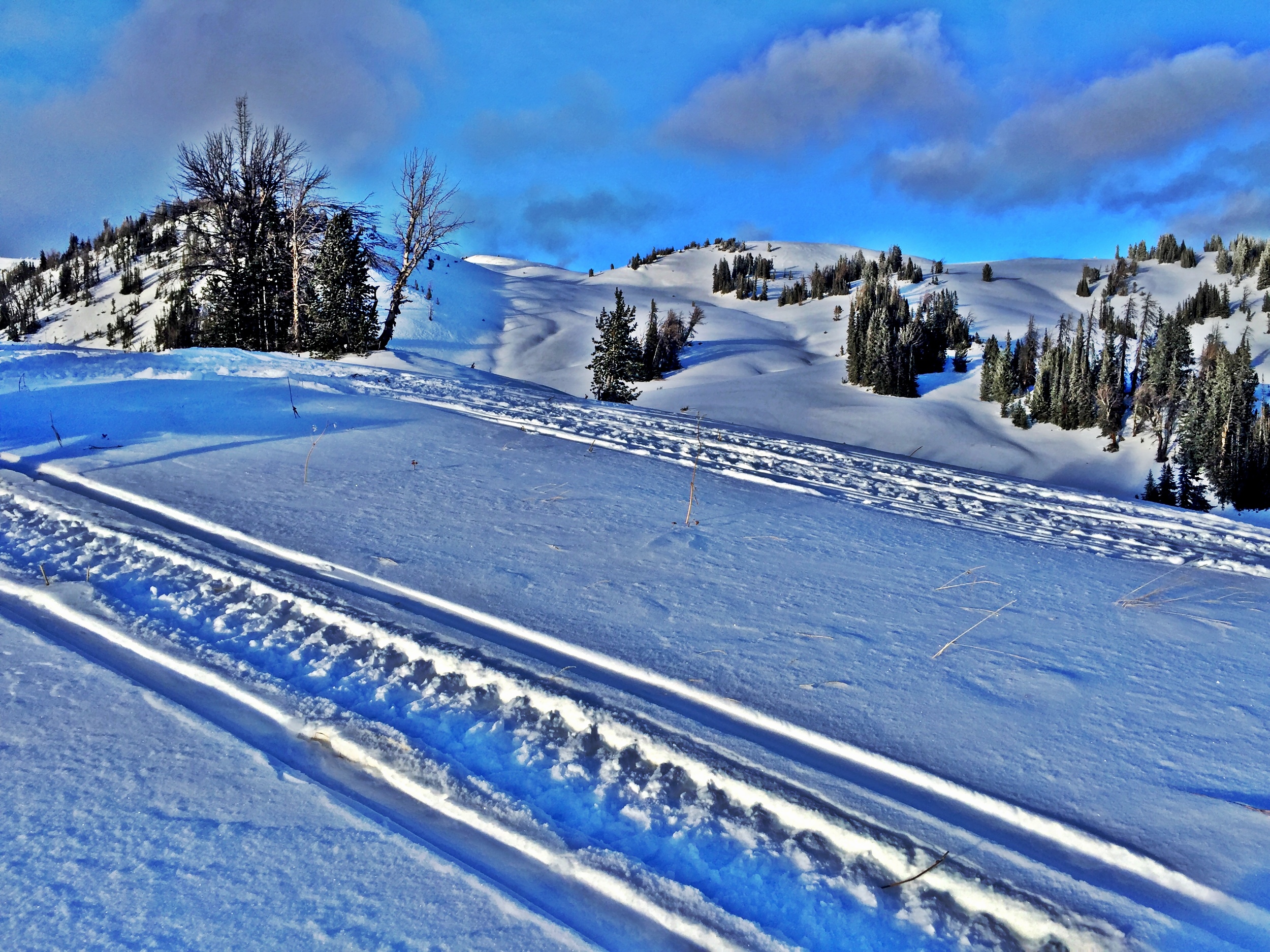 Grungy Slopes, Moran Wyoming, Togwotee Mountain Lodge 12.jpg