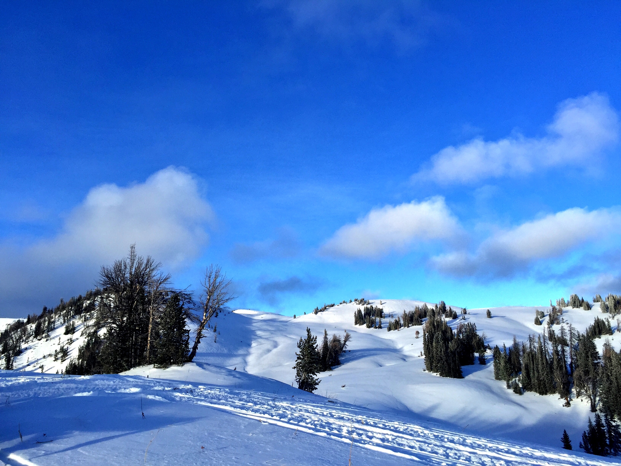 Grungy Slopes, Moran Wyoming, Togwotee Mountain Lodge 17.jpg