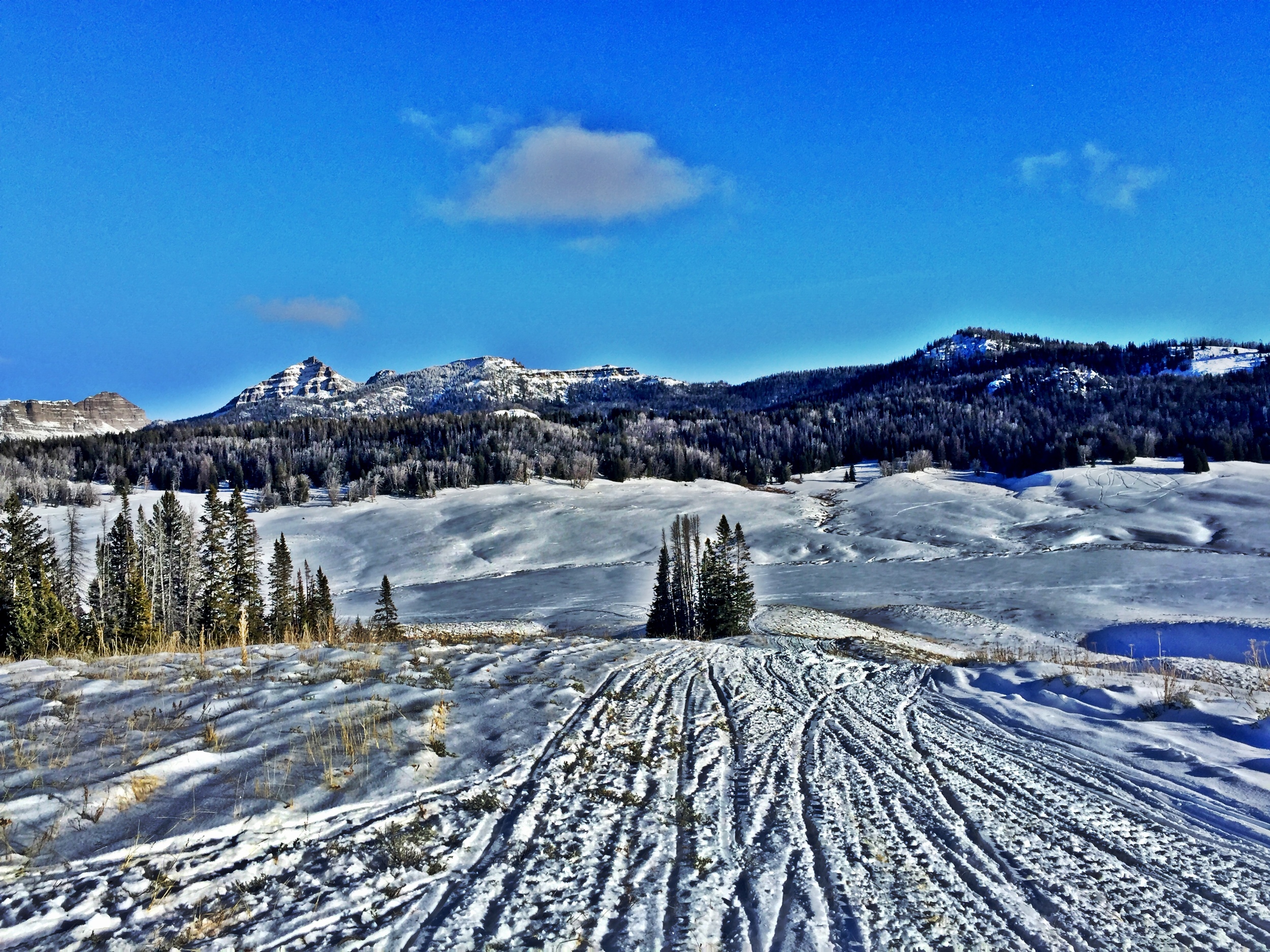 Grungy Slopes, Moran Wyoming, Togwotee Mountain Lodge 18.jpg