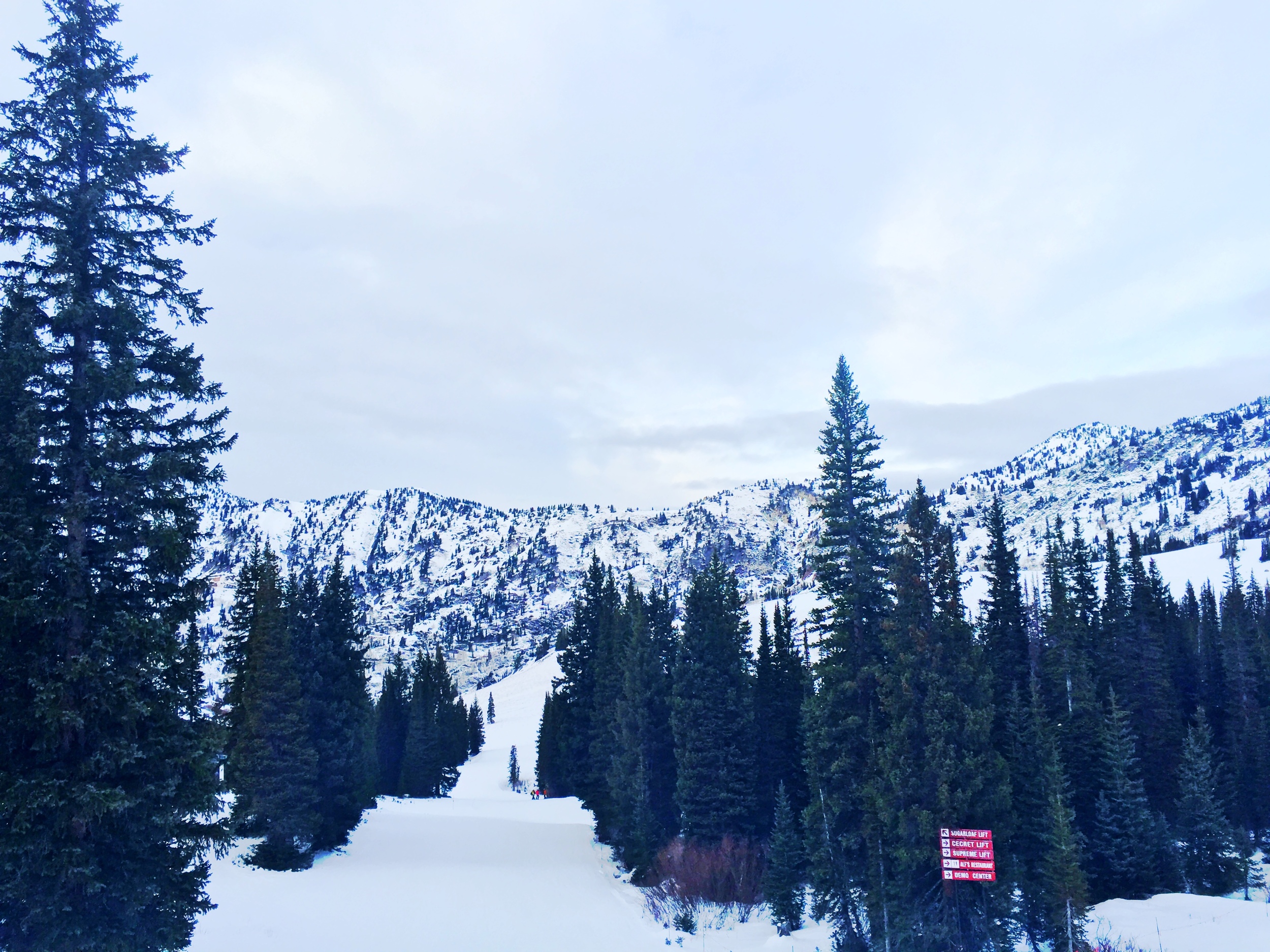 Grungy Slopes, Alta Utah, Goldminer's Daughter Lodge 16.jpg