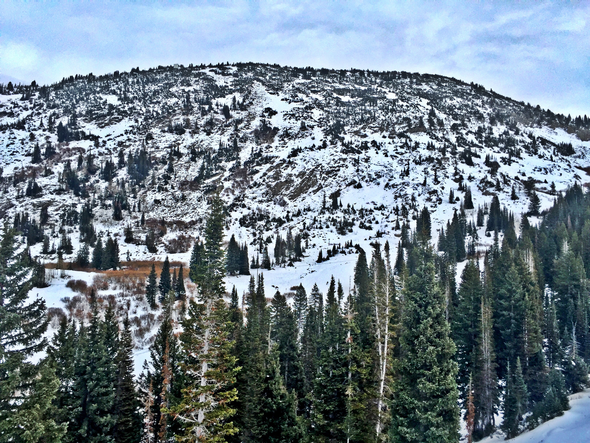 Grungy Slopes, Alta Utah, Goldminer's Daughter Lodge 18.jpg