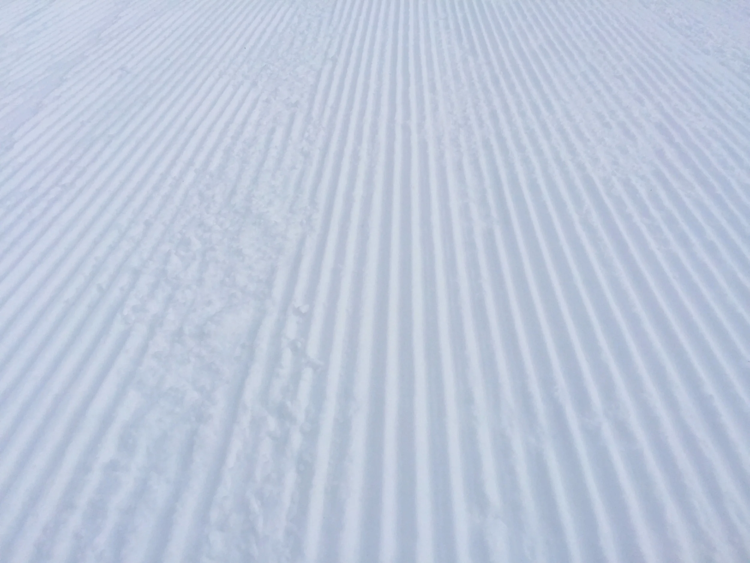 Grungy Slopes | GOLDMINER'S DAUGHTER LODGE - Alta, Utah — Grungy Gentleman