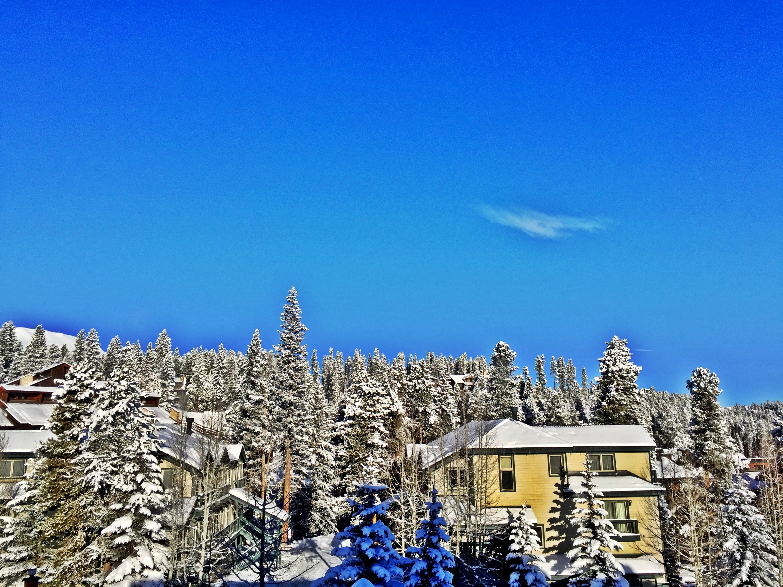 Grungy Slopes, Breckenridge Colorado, The Wedgewood Lodge 10.jpg