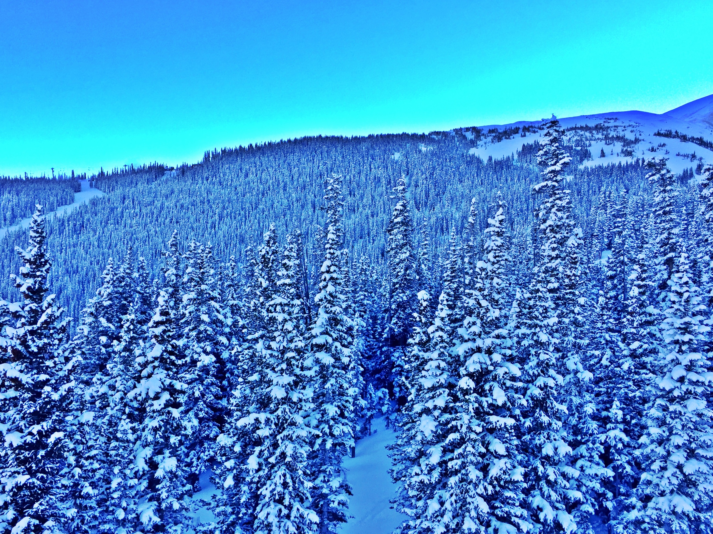 Grungy Slopes, Breckenridge Colorado, The Wedgewood Lodge 16.jpg