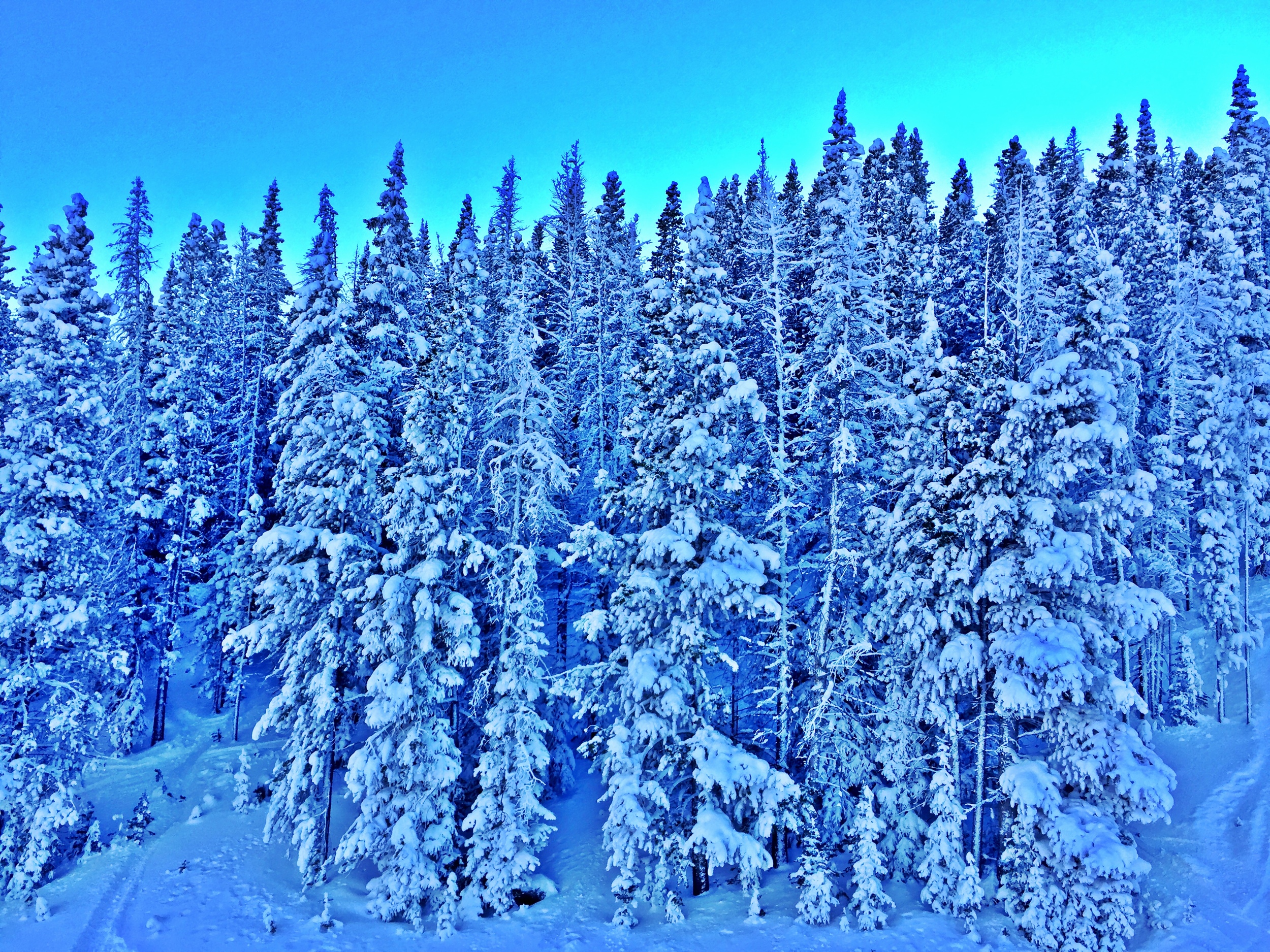 Grungy Slopes, Breckenridge Colorado, The Wedgewood Lodge 17.jpg