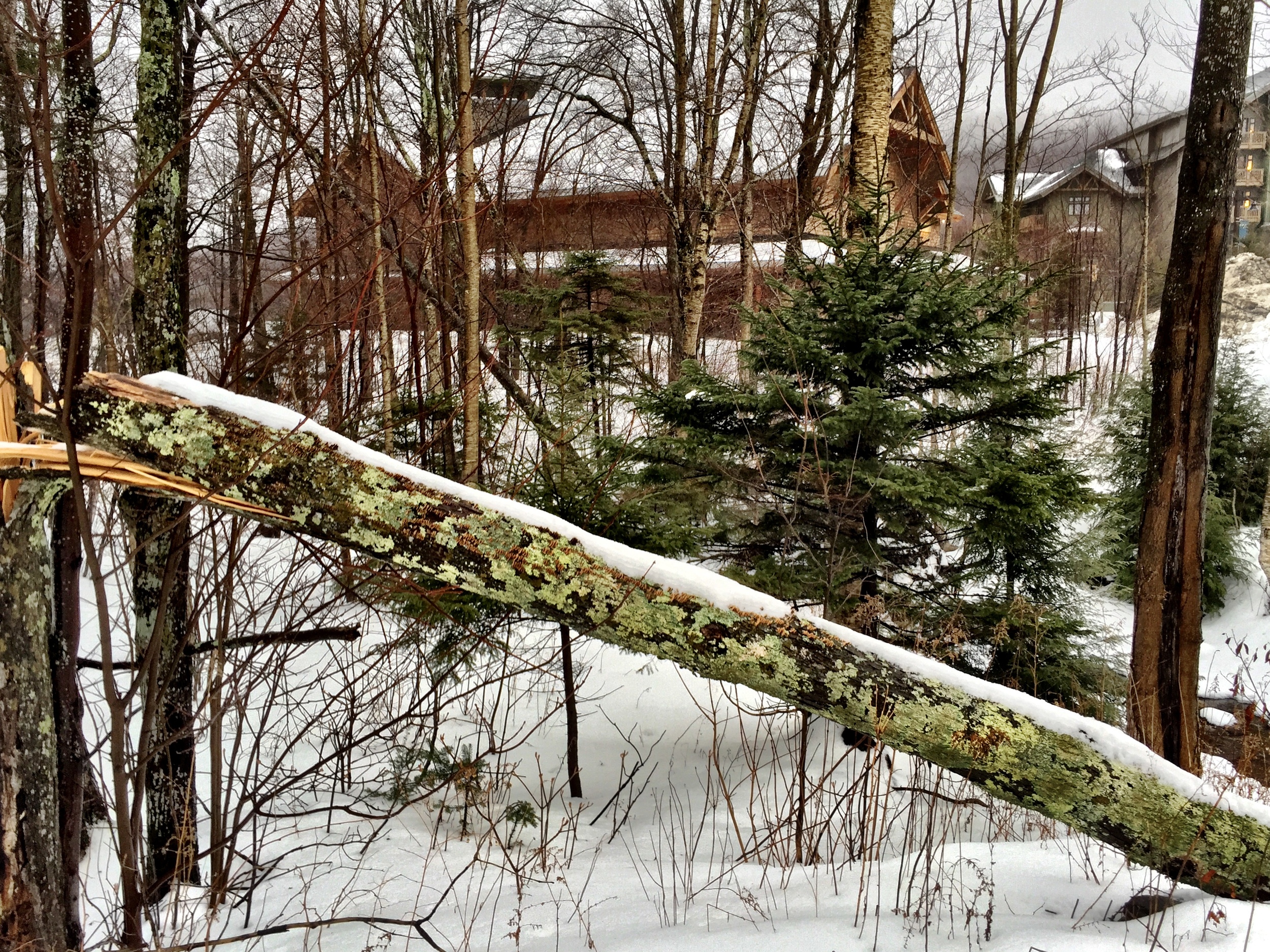 Grungy Slopes, Stowe Vermont, Stowe Mountain Lodge 33.jpg