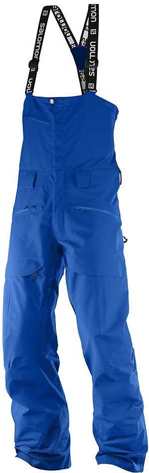 Salomon QST Charge GTX® 3L Pants, $500