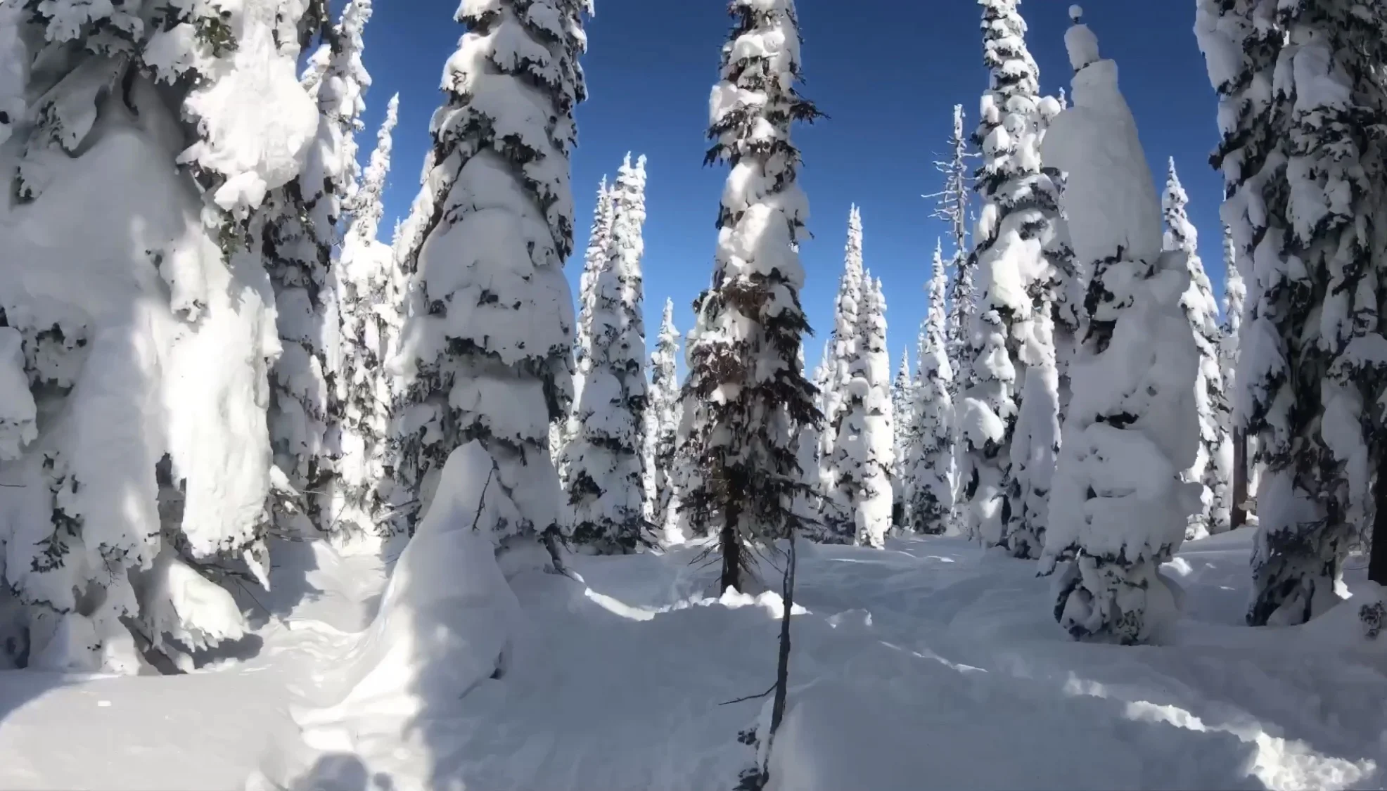 Grungy Slopes Whitefish 6.jpg