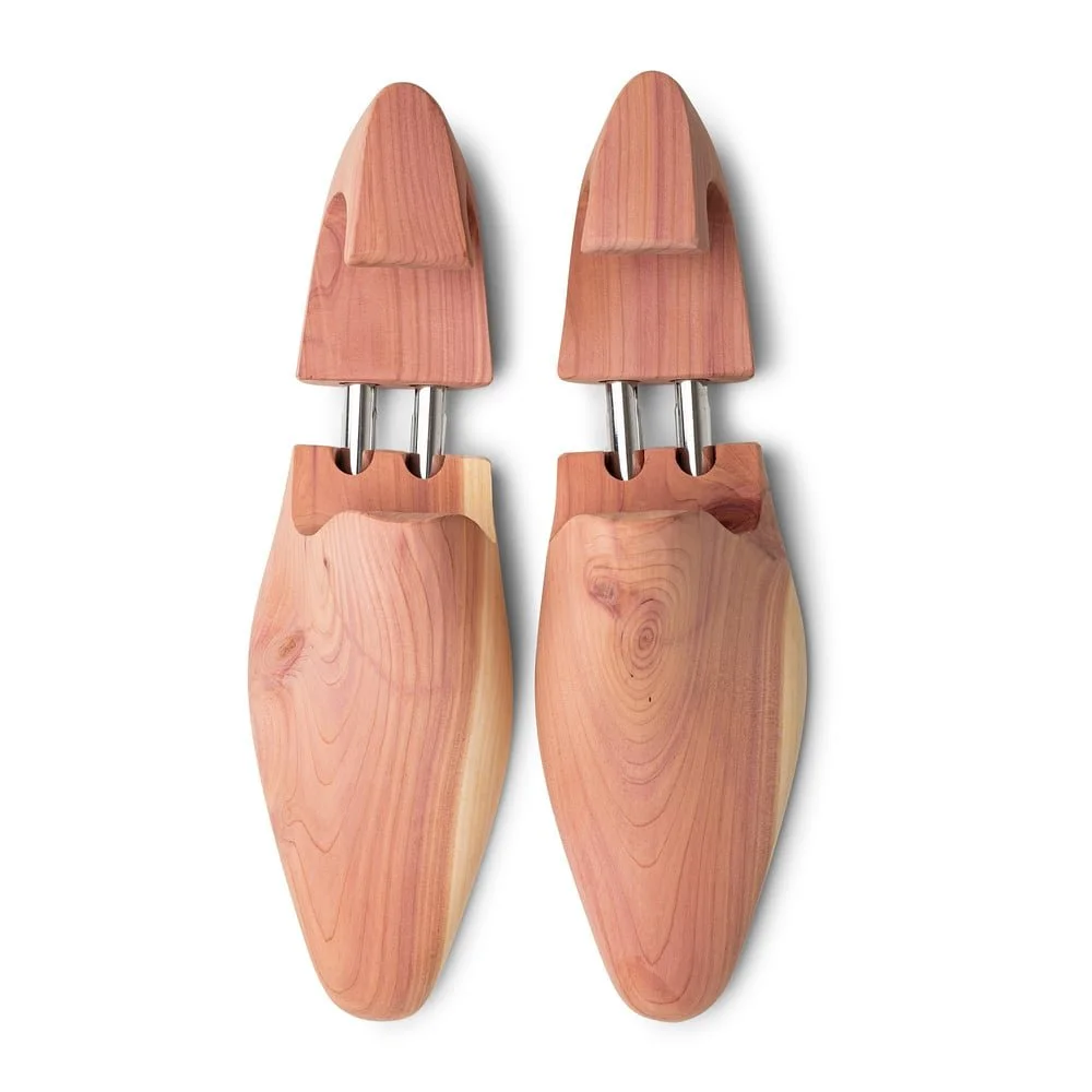 Skolyx, $39