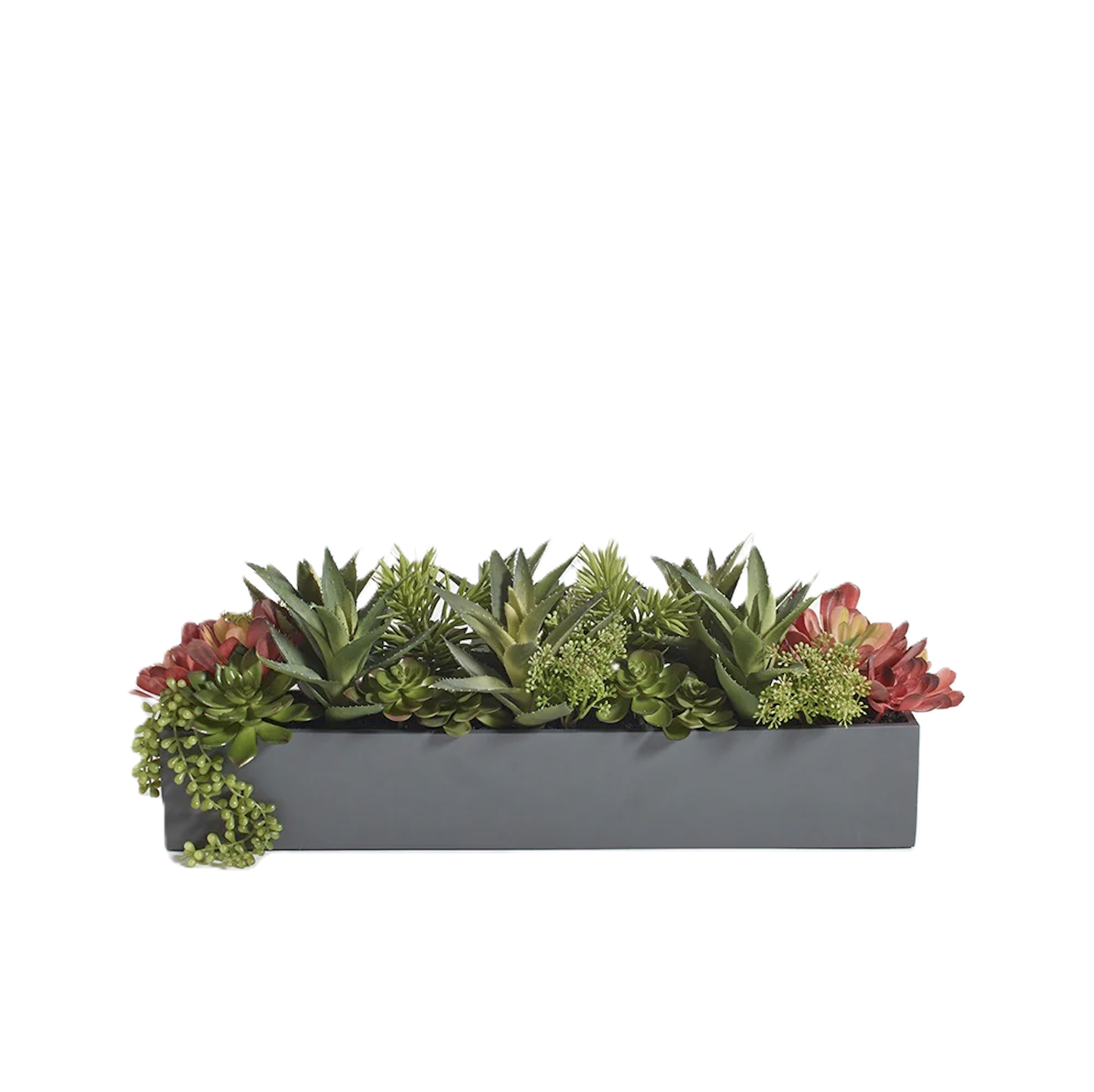 CG Hunter, $250