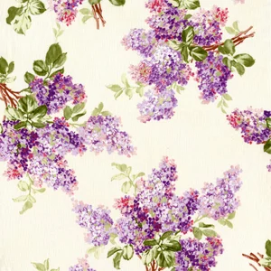 Cream and Lavender