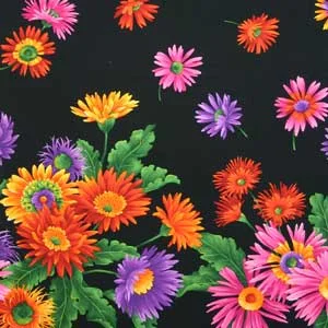 Aster