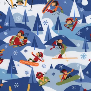 Winter Sports