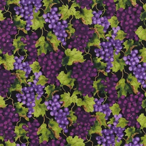 Vineyard