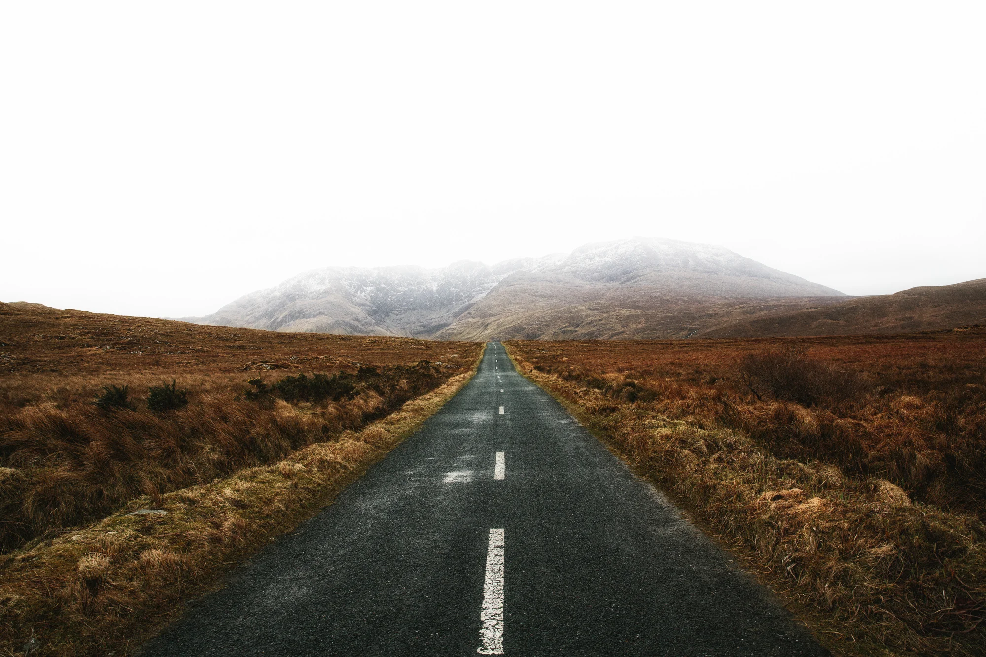 Ireland-web100_2000.jpg